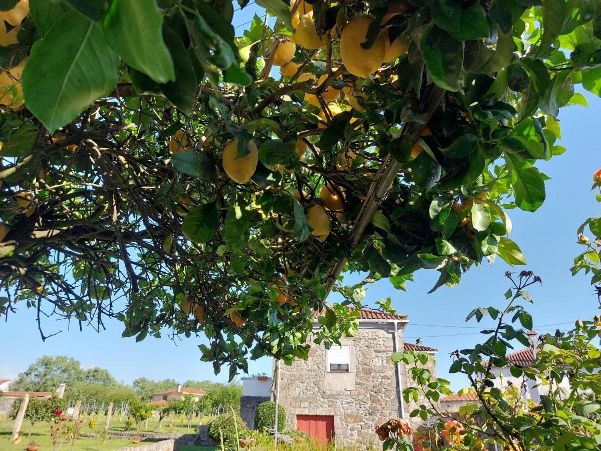 维亚纳堡 Quinta Da Ponte酒店 外观 照片